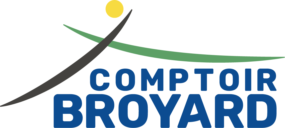 LSM Mobility Logo de Comptoir Broyard, avec une silhouette stylisée, un cercle jaune, une ligne verte et le texte "COMPTOIR BROYARD" en bleu.
