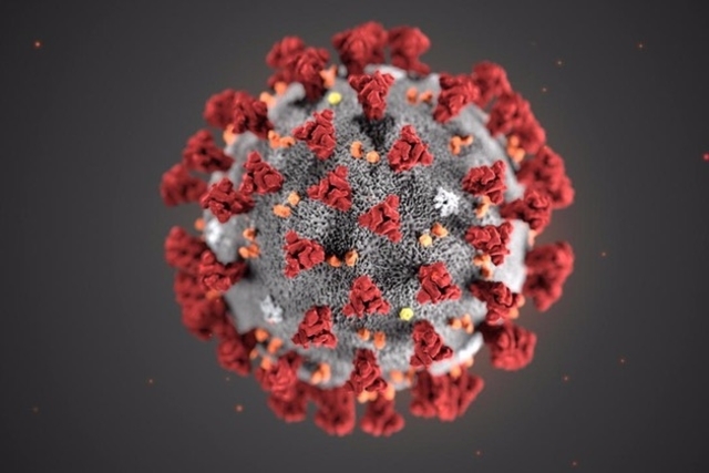LSM Mobility Représentation 3D du coronavirus, avec ses pointes rouges caractéristiques sur fond gris. Illustration pour un article sur l'Info Coronavirus.