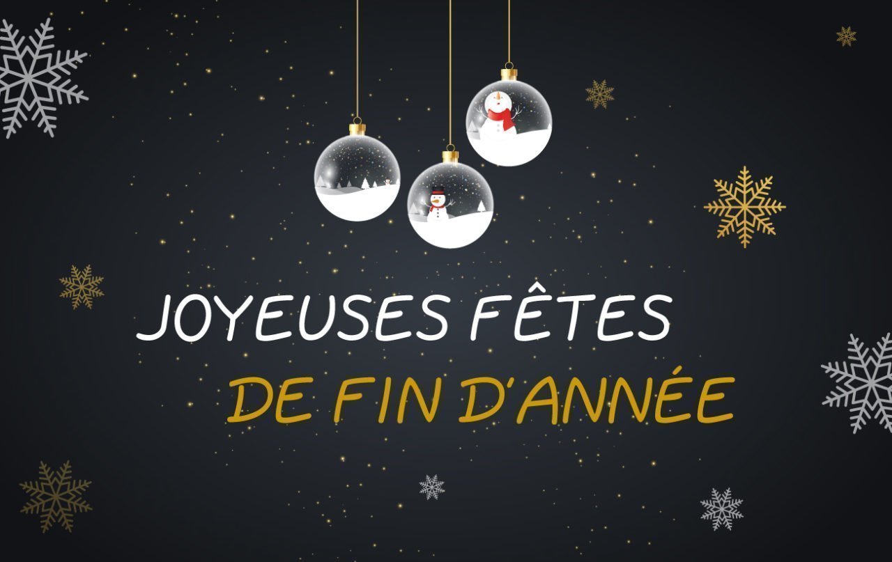 LSM Mobility Boules de Noël suspendues sur fond noir étoilé. "Joyeuses Fêtes de Fin d'Année" écrit en blanc et or. Idéal pour les vacances de fin d'année.